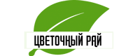 Рассада Цветов